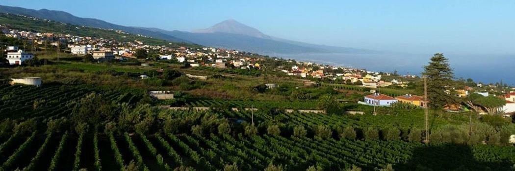 Stunning Views At Tenerife Tacoronte Eksteriør bilde